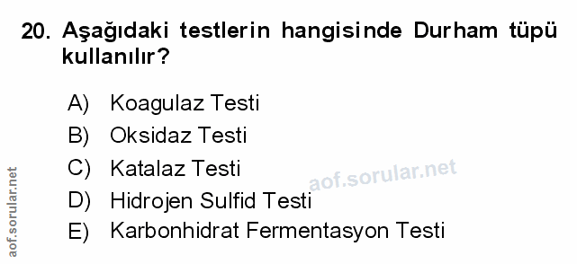 Soru 20