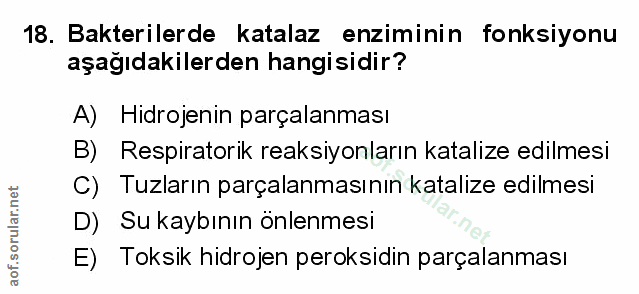 Soru 18