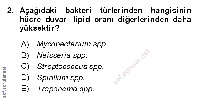 Soru 2