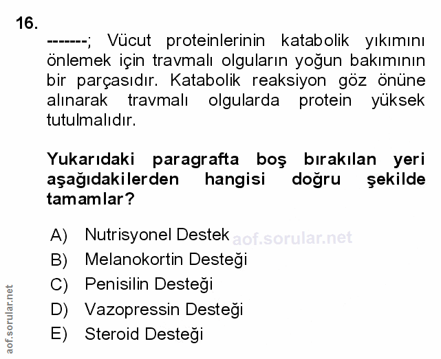 Soru 16