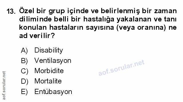 Soru 13