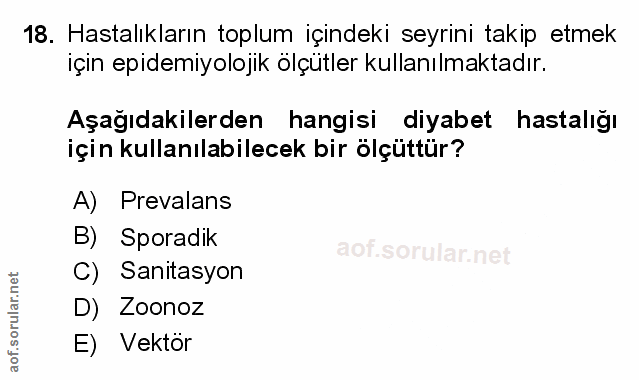 Soru 18