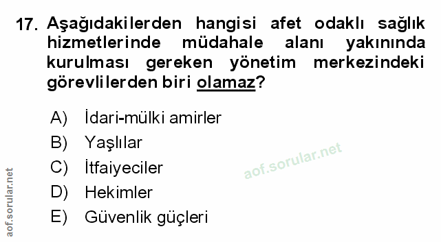 Soru 17