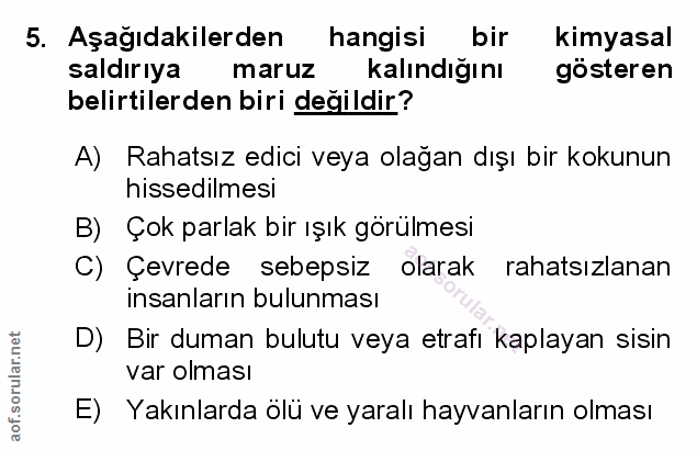 Soru 5