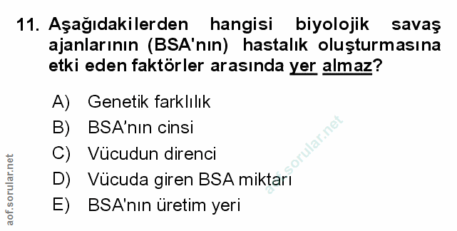 Soru 11