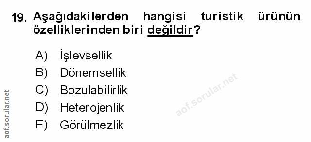 Soru 19
