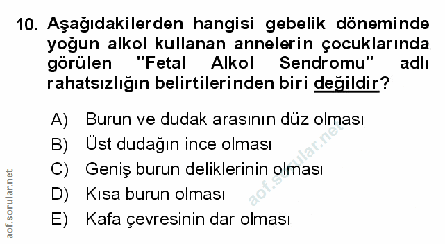 Soru 10