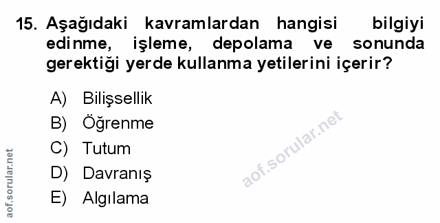 Soru 15