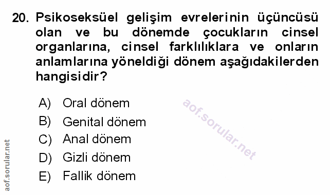 Soru 20