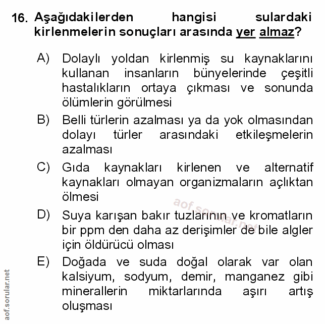 Soru 16
