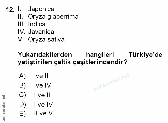 Soru 12