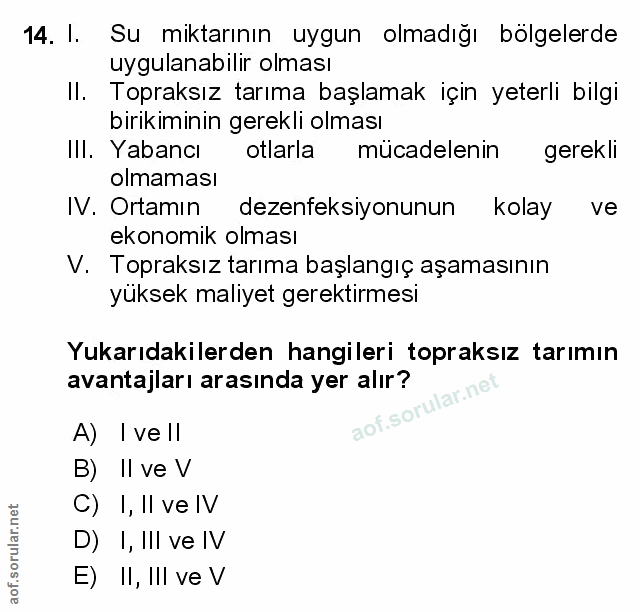 Soru 14