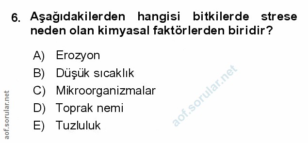 Soru 6