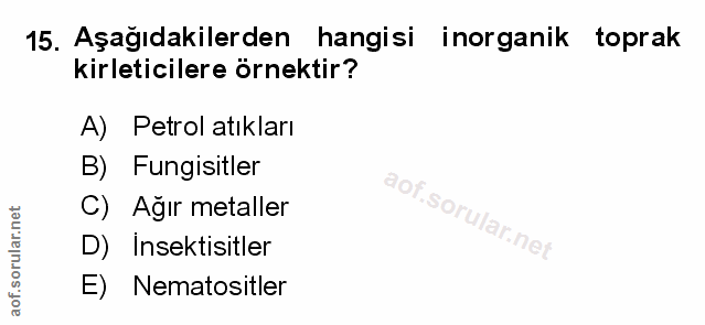 Soru 15