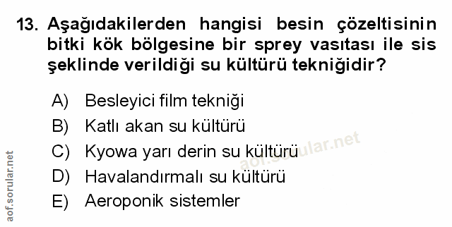 Soru 13
