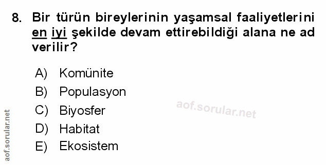Soru 8