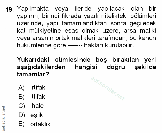 Soru 19