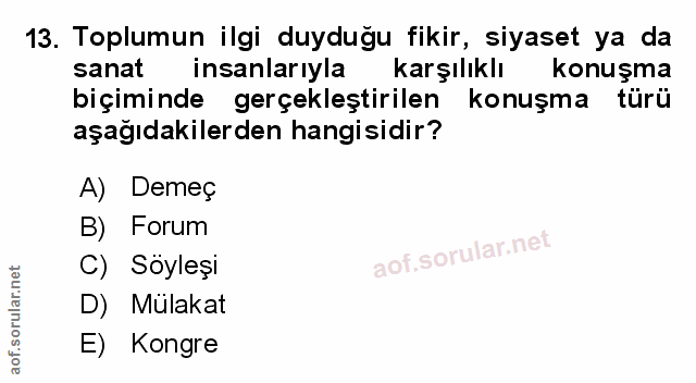 Soru 13