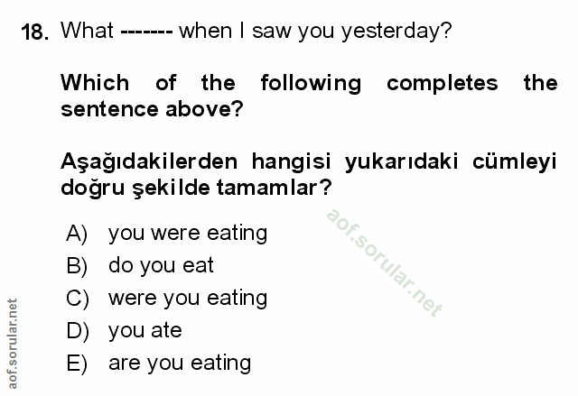 Soru 18