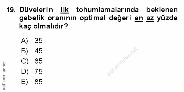 Soru 19