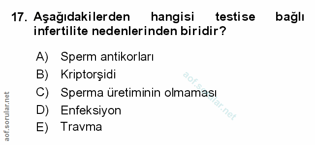 Soru 17