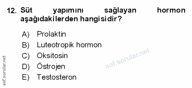 Soru 12