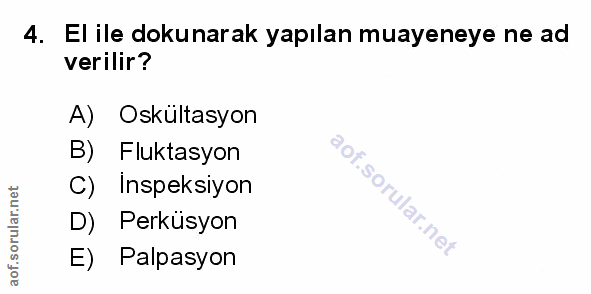 Soru 4