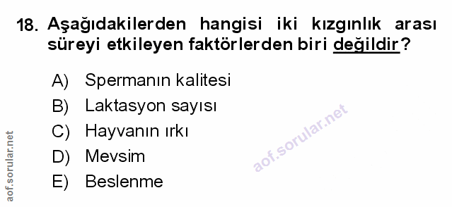 Soru 18