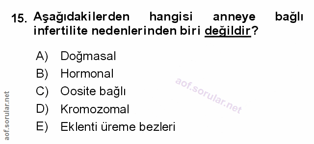 Soru 15