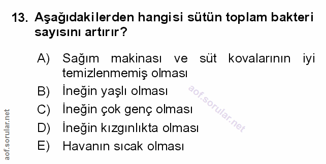 Soru 13