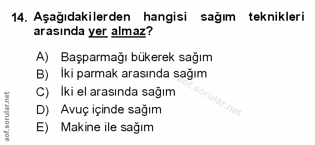Soru 14