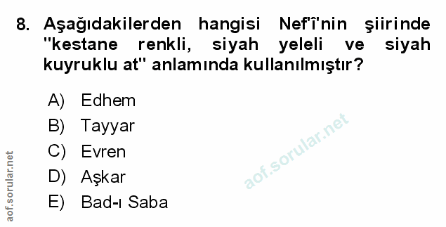Soru 8