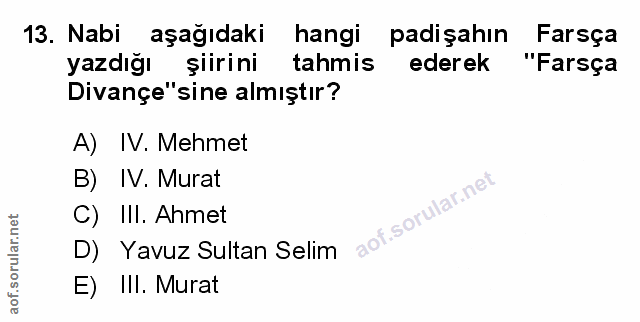 Soru 13