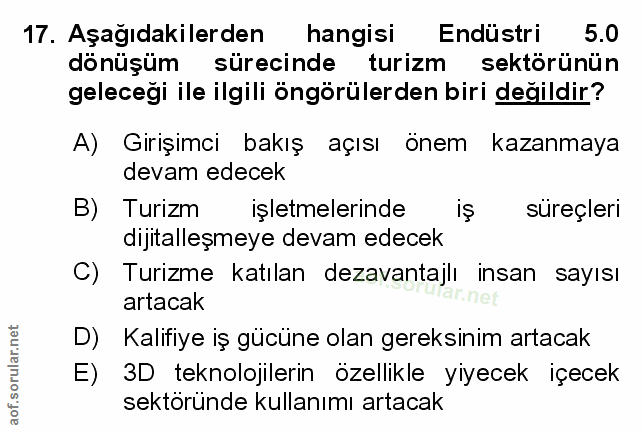 Soru 17