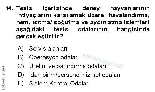Soru 14