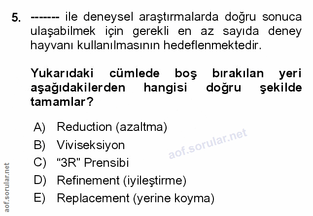 Soru 5