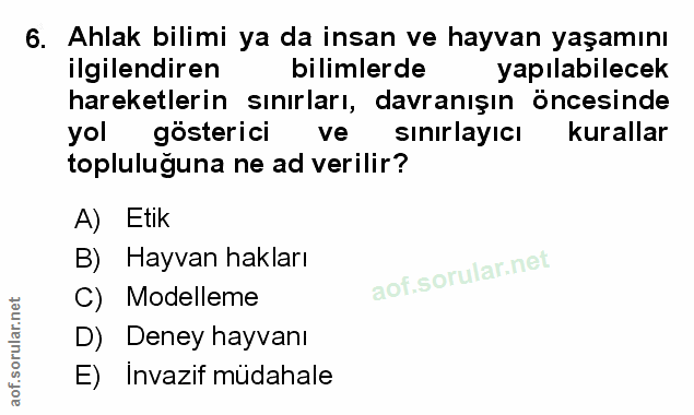 Soru 6