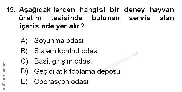 Soru 15