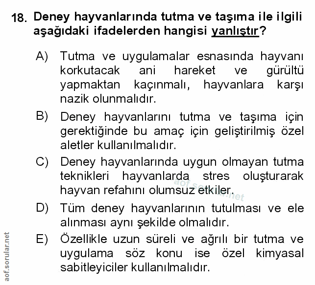Soru 18