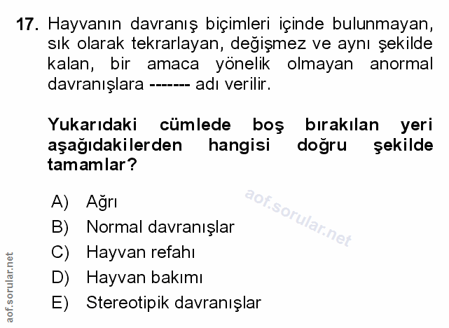 Soru 17