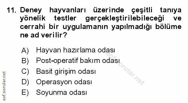 Soru 11