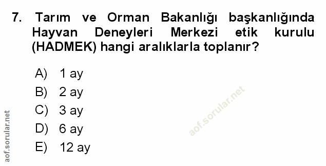 Soru 7