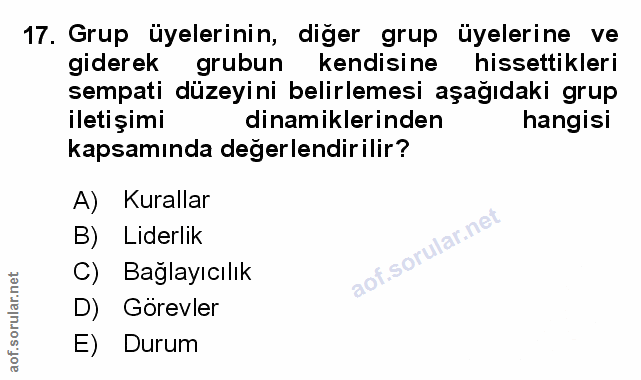 Soru 17