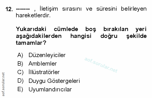 Soru 12