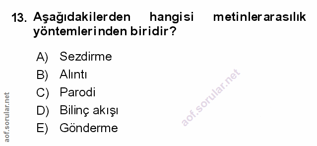 Soru 13