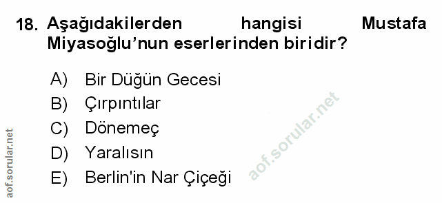 Soru 18