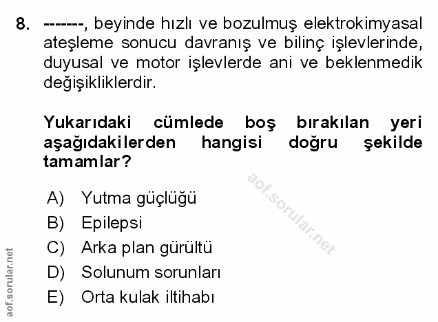 Soru 8