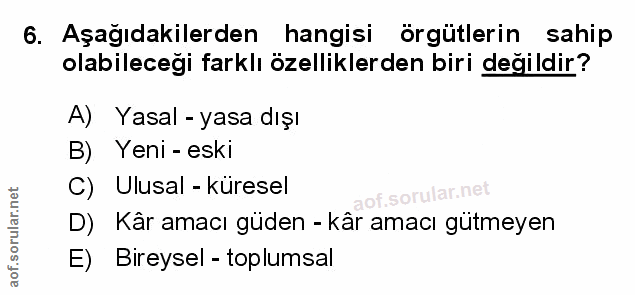 Soru 6