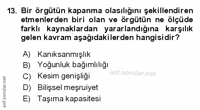 Soru 13
