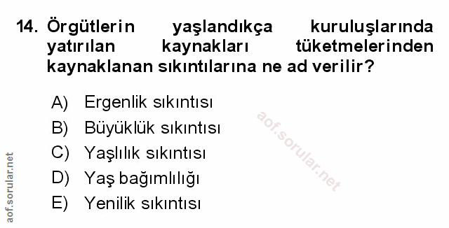 Soru 14